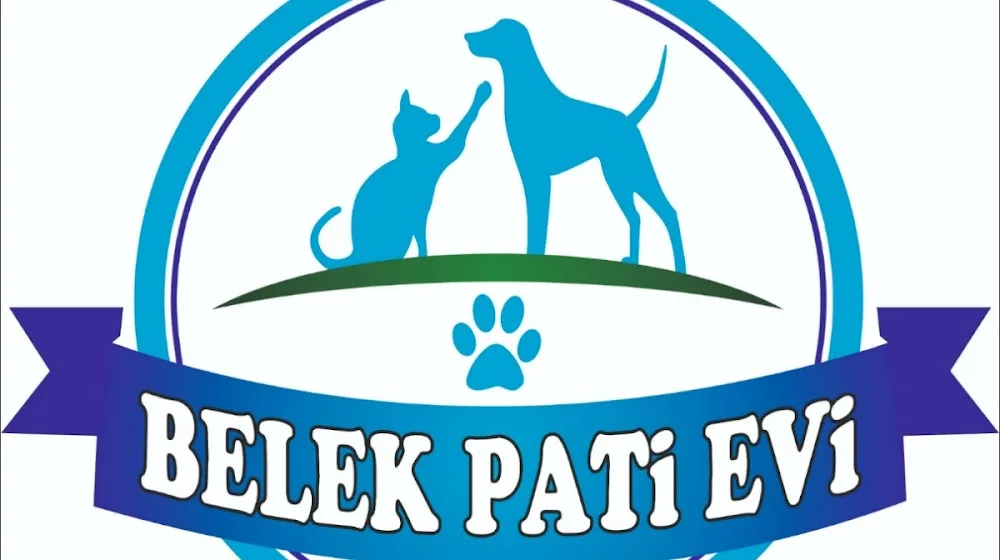 Belek Pati Evi / Köpek Ve Kedi(Antalya Köpek Oteli) Dog Hotel Hunde Hotel - xPet Otel