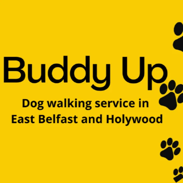 Buddy Up Dog Walking Adventures and Home from Home Boarding - Belfast pet otel
