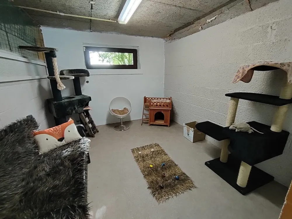 A Tout Poil , pension pour chats, lapins et cobayes - Belgium pet otel görseli 6