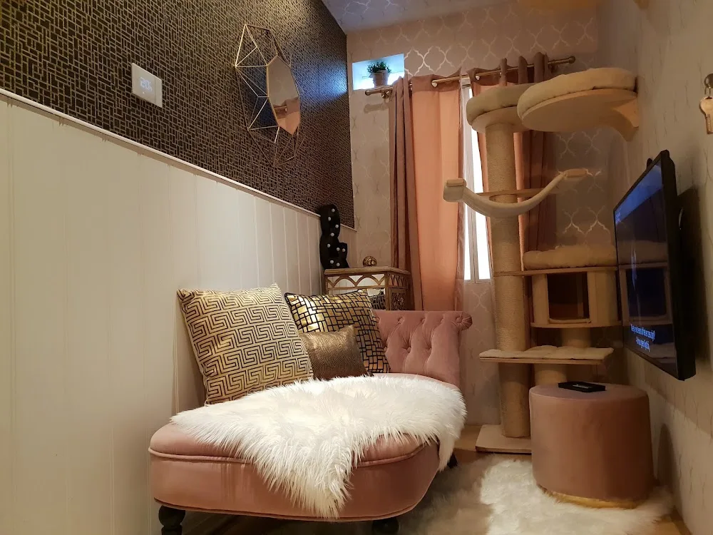 Cat Lounge Luxe Kattenhotel - Belgium pet otel