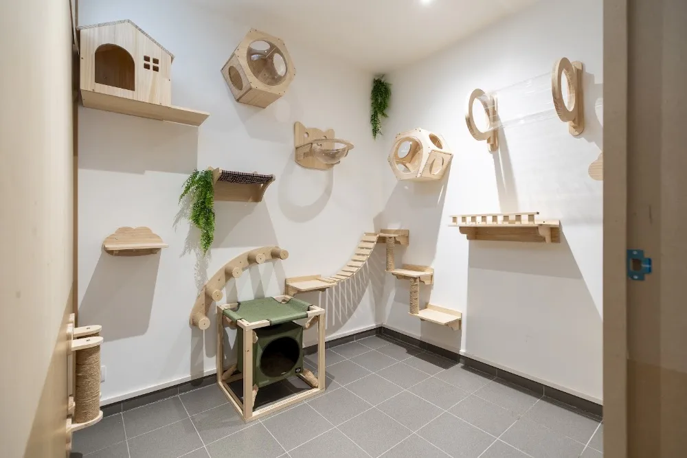 Cat’s Boutique Hôtel Braine - Belgium pet otel