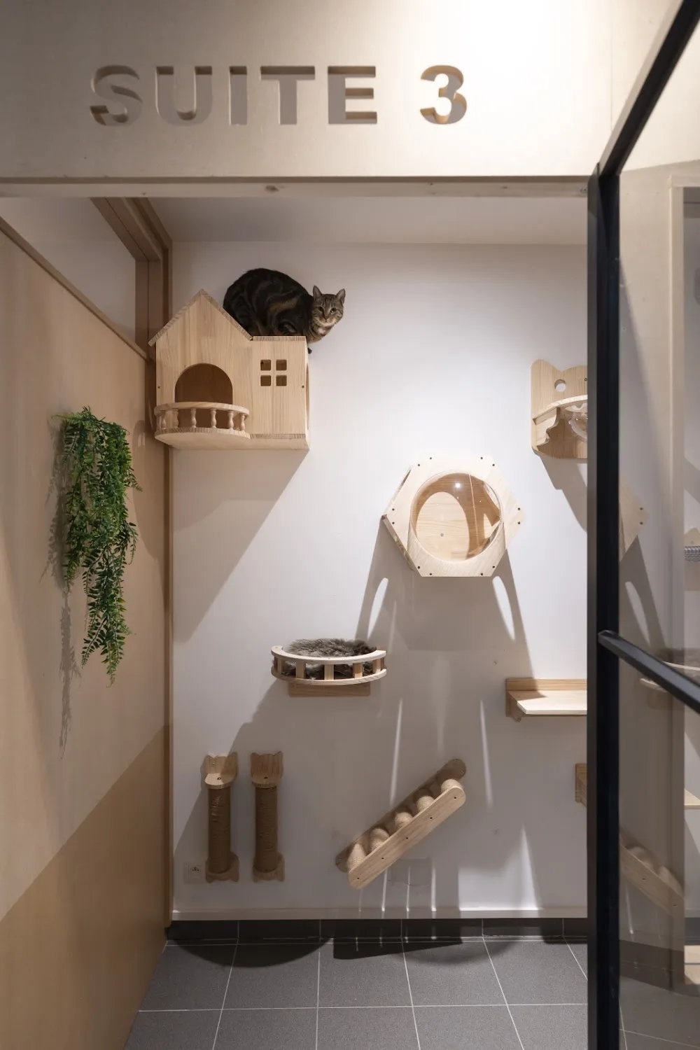 Cat’s Boutique Hôtel Braine - Belgium pet otel görseli 3