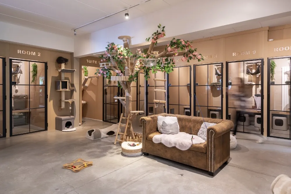 Cat's Boutique Hôtel Uccle - Belgium pet otel görseli 6
