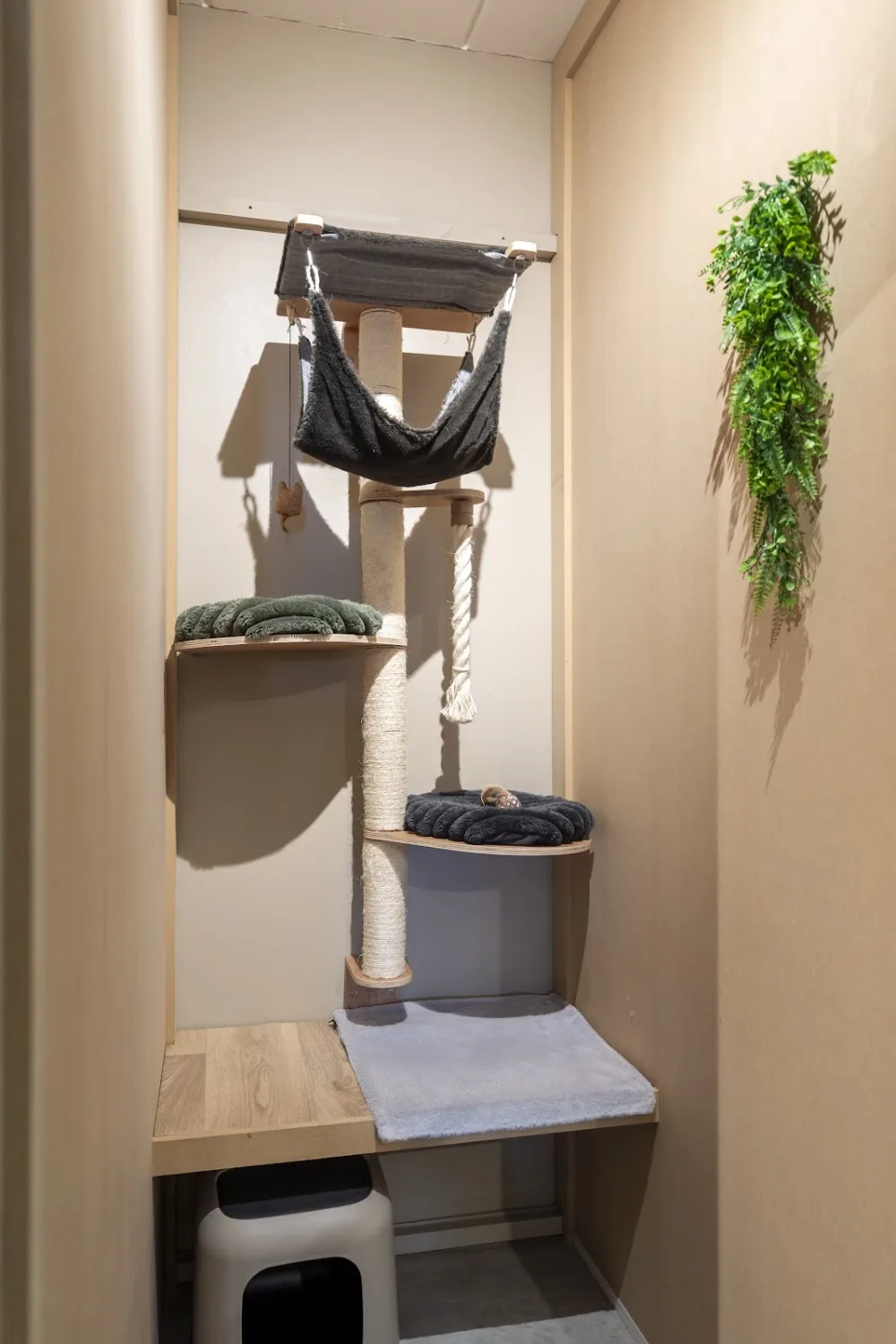 Cat's Boutique Hôtel Uccle - Belgium pet otel görseli 11