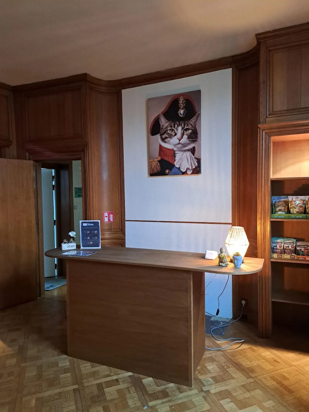 ChatLHome - Hotel pour chats / Kattenhotel - Belgium pet otel görseli 7