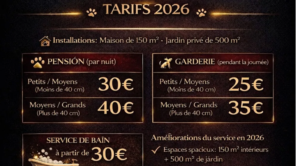 Dogsitter Bruxelles – Pension pour chiens - Belgium pet otel görseli 2