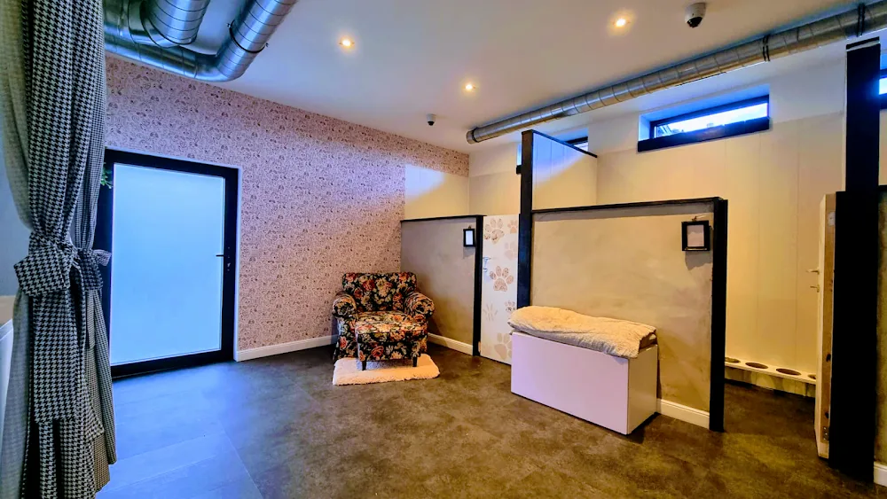 Le Loft des Muz'O🐈‍⬛ - Belgium pet otel