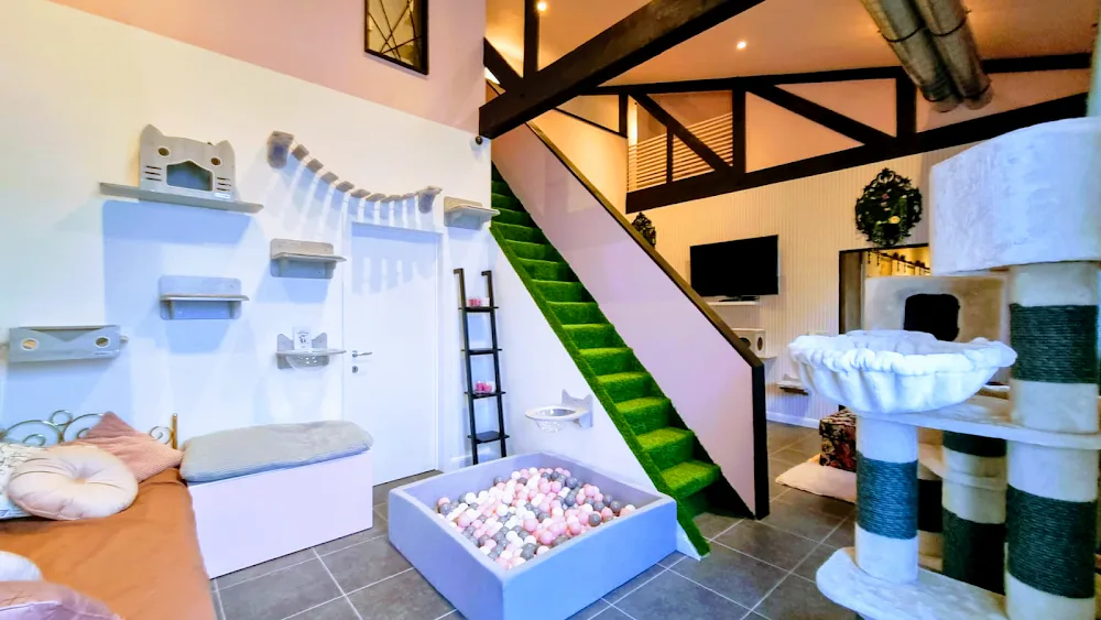Le Loft des Muz'O🐈‍⬛ - Belgium pet otel görseli 3