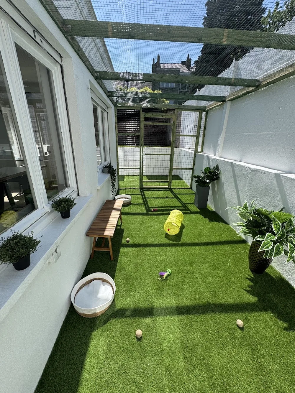 Royal Félin - Belgium pet otel görseli 7