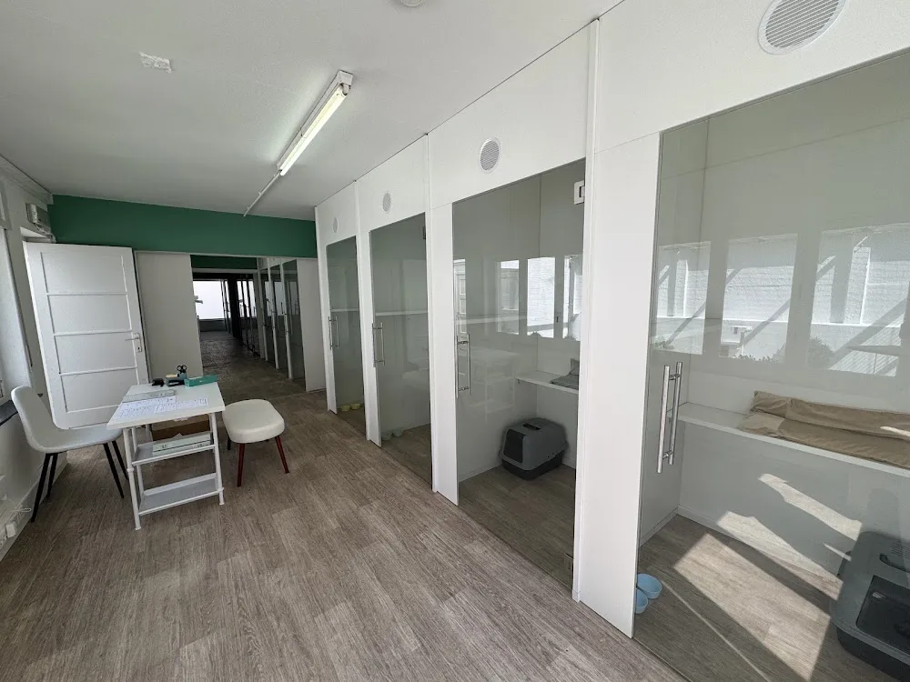 Royal Félin - Belgium pet otel görseli 10