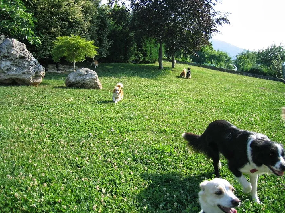 Pensione per Cani Lamen - Belluno pet otel