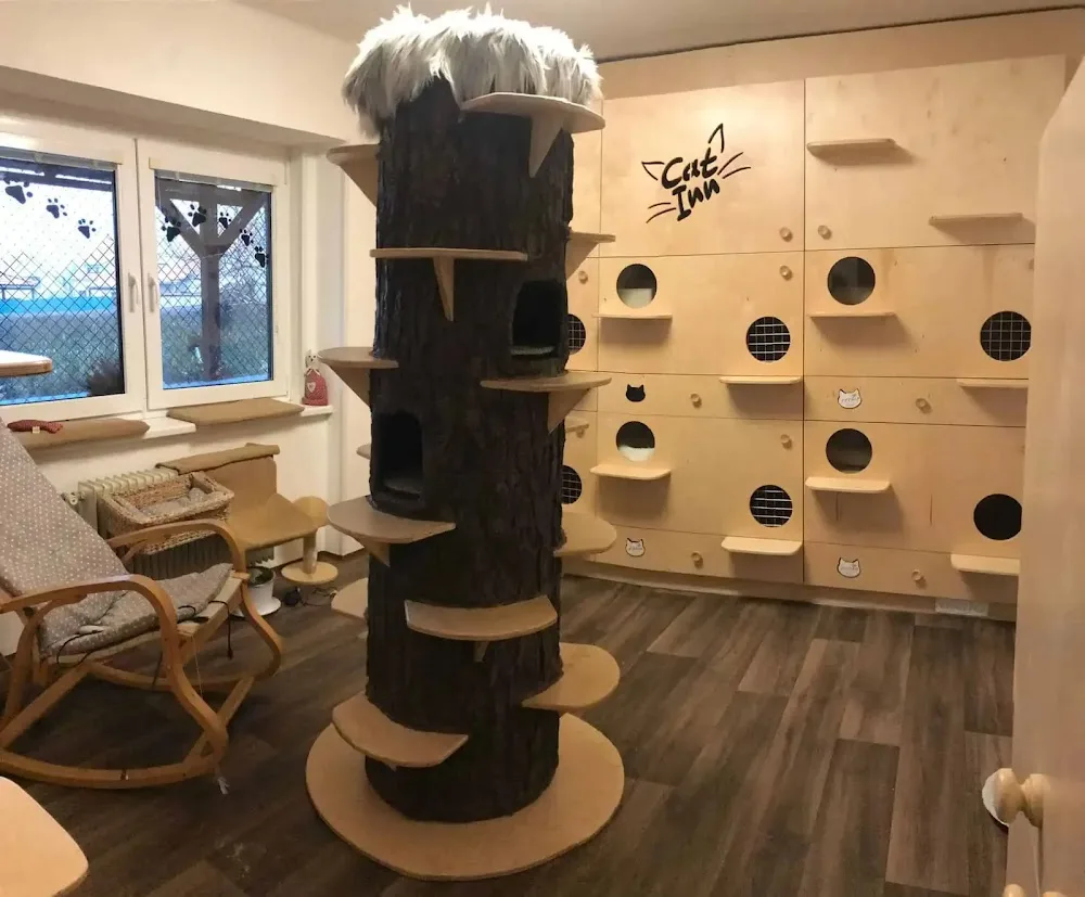 Cat Inn kočičí babička - Benešov pet otel görseli 5