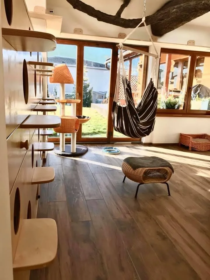 CatInn kočičí hotel - Benešov pet otel görseli 7