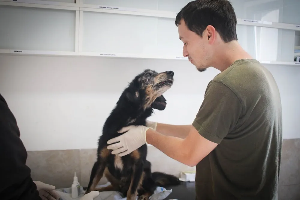 Dogpoint - Benešov pet otel