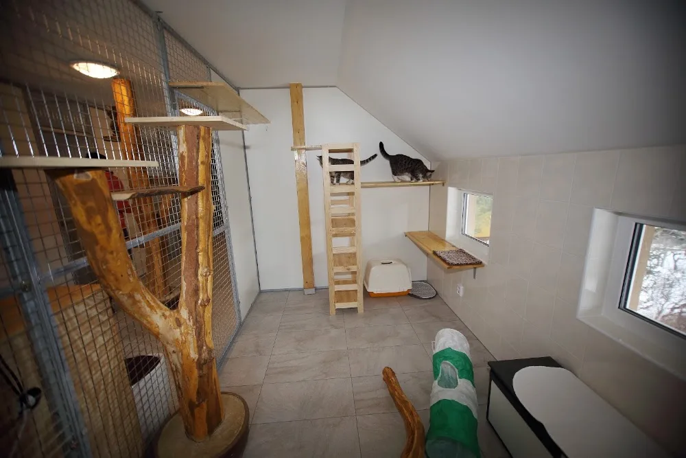 Hotel pro kočky Trubská - Benešov pet otel