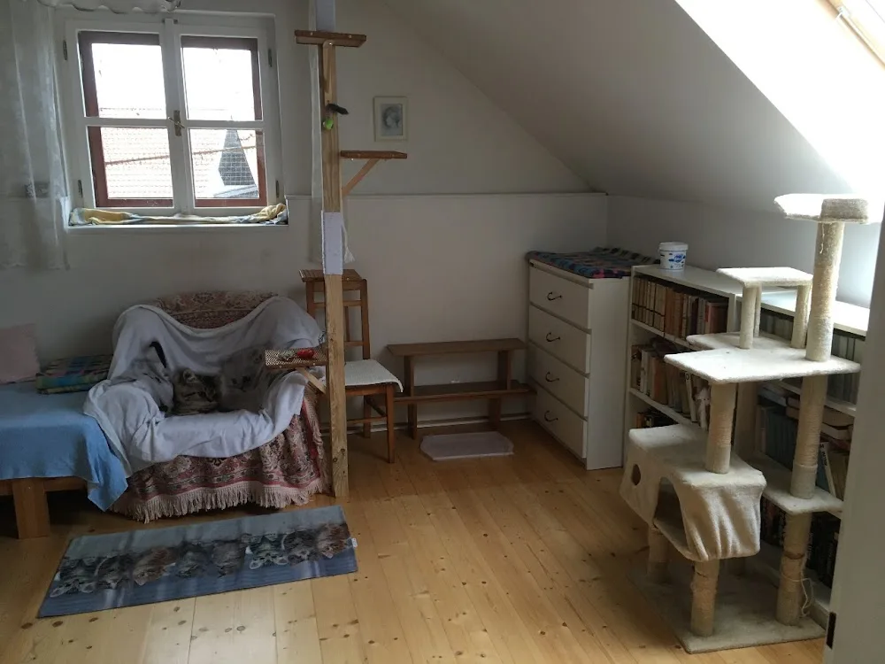 Kočky doma - Benešov pet otel görseli 3