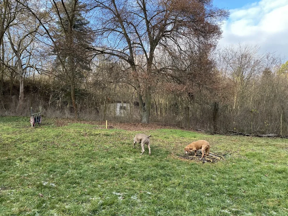 Psí hotel AX a výcvik psů – Dobřichovice / Praha západ - Benešov pet otel