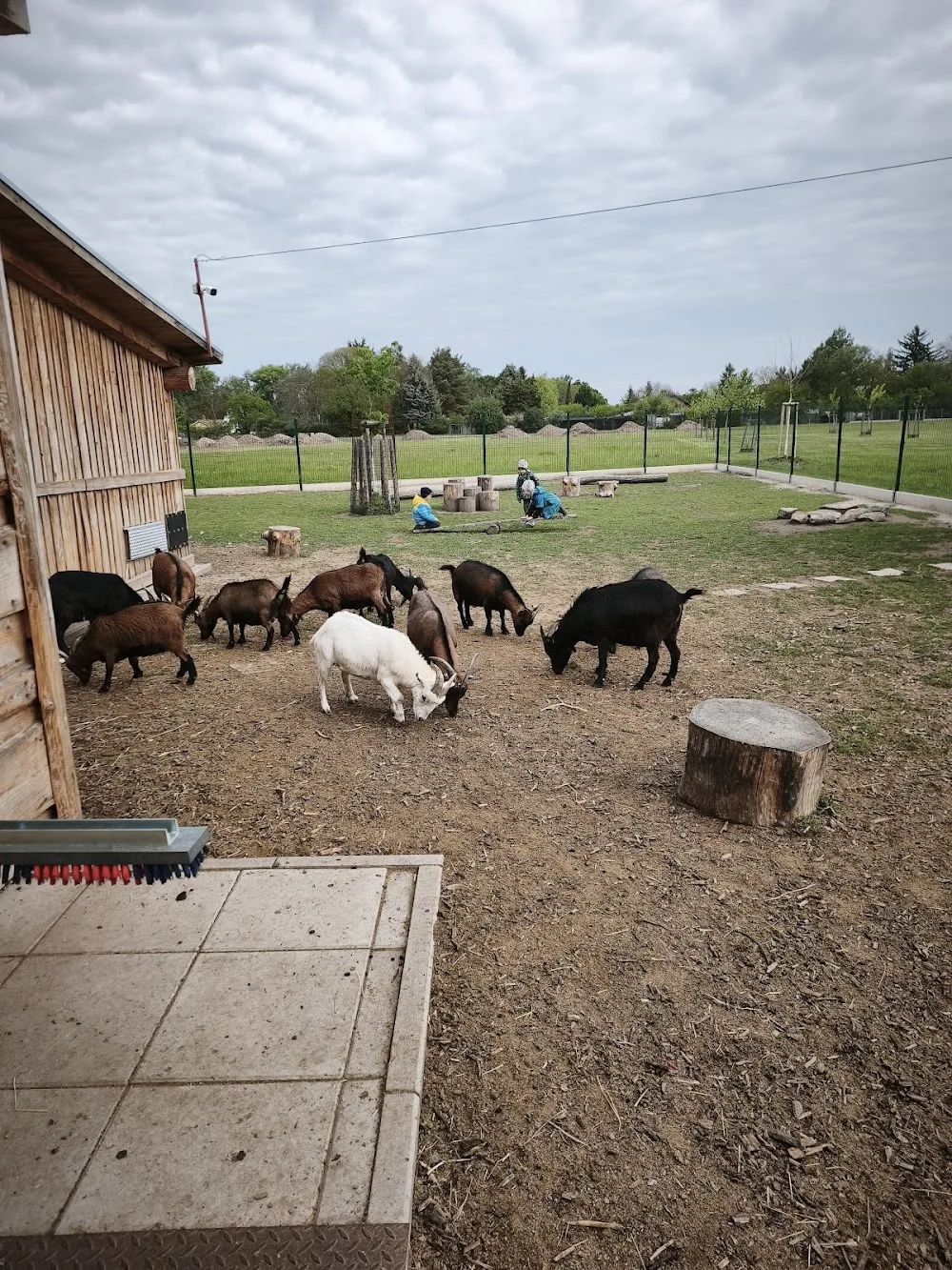 Psí útulek - Kolín - Benešov pet otel