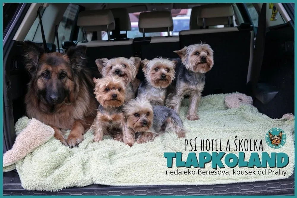 Tlapkoland - Psí hotel a školka - Benešov pet otel görseli 2