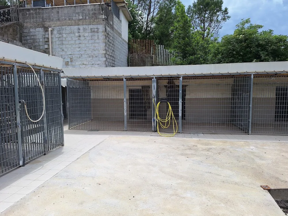 Pensione Per Cani Oasi - Benevento pet otel