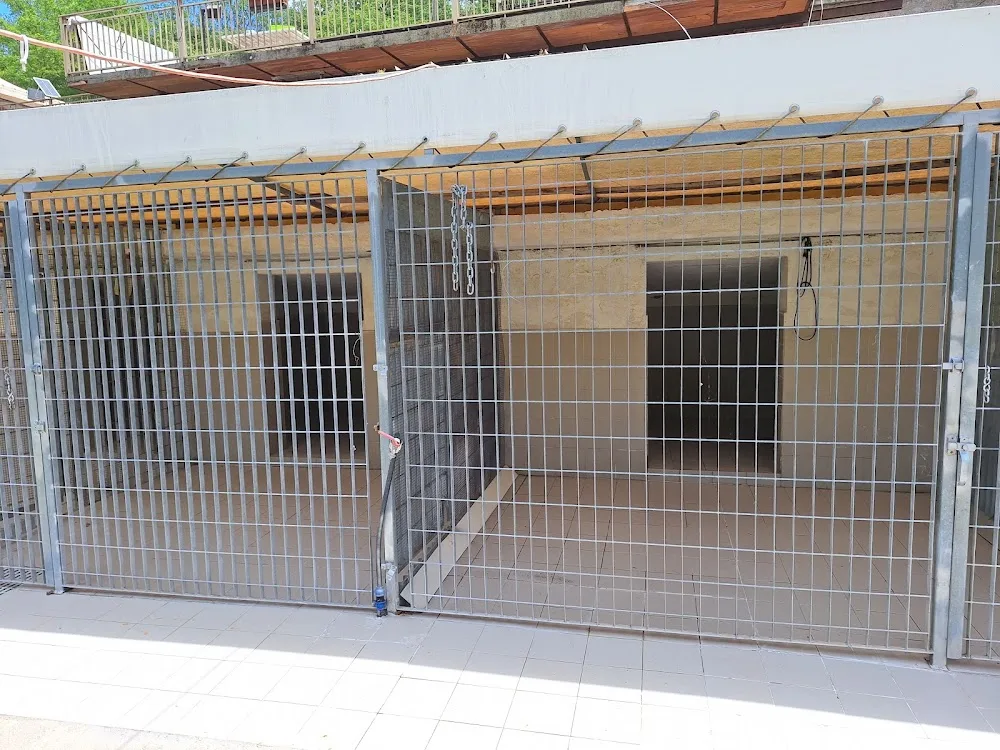 Pensione Per Cani Oasi - Benevento pet otel görseli 3
