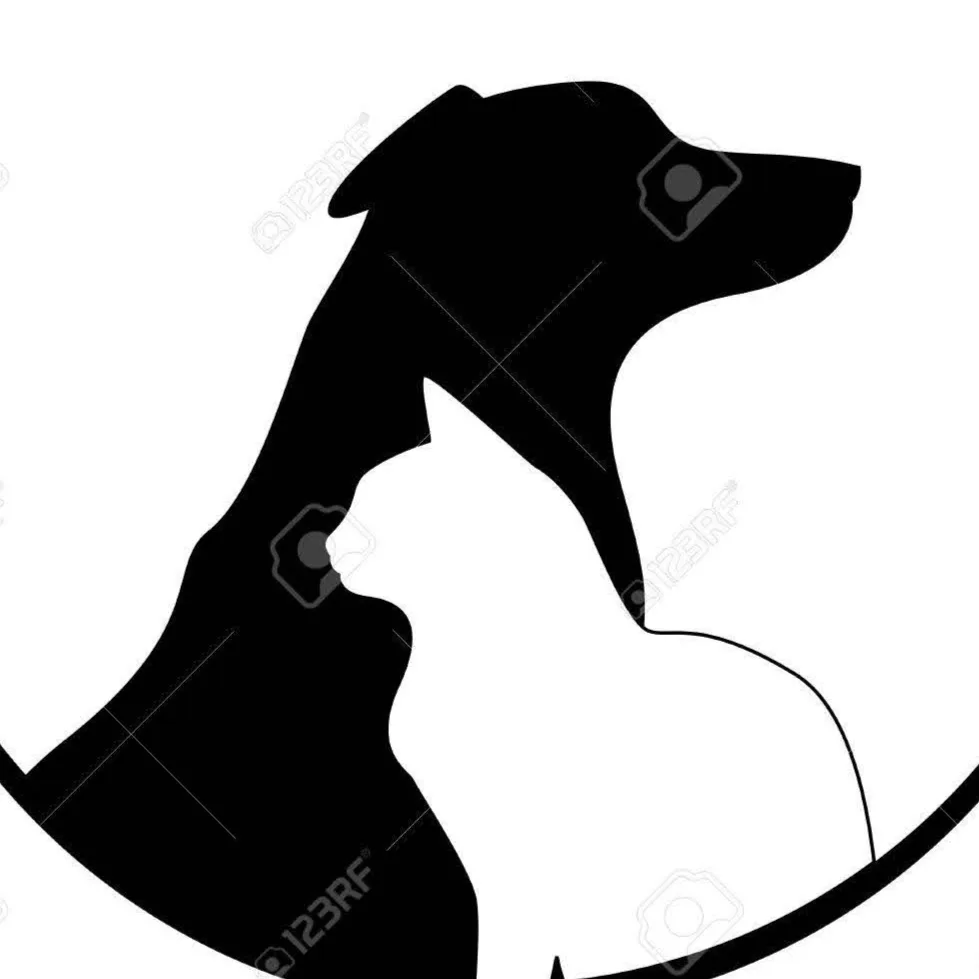 Pensione Per Cani Oasi - Benevento pet otel görseli 5