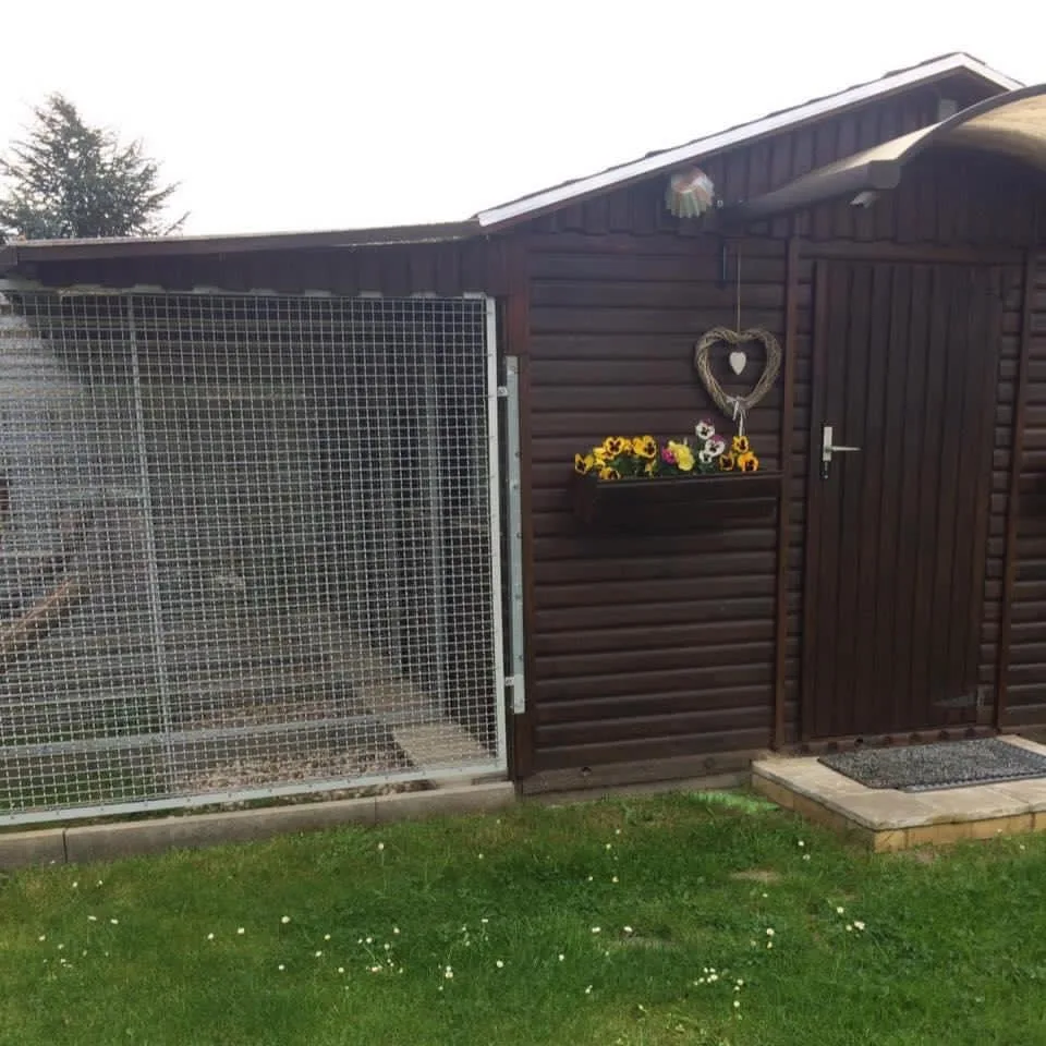 Bettina Hornauer Katzenpension - Bennewitz pet otel
