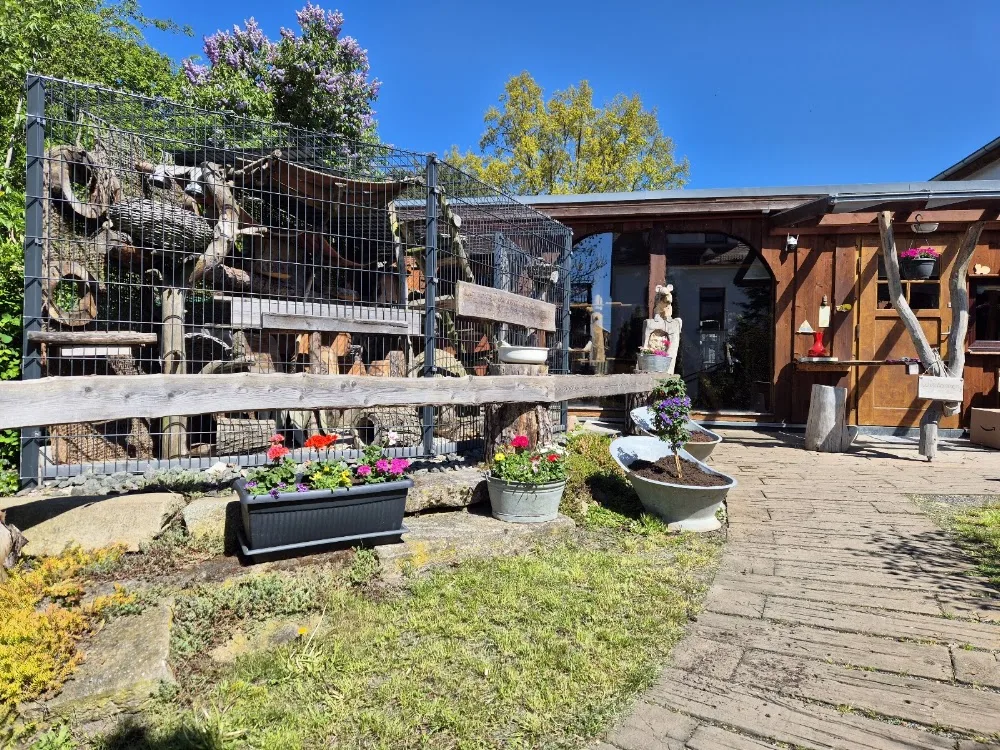 Katzenpension Sonnengarten - Bennewitz pet otel görseli 3