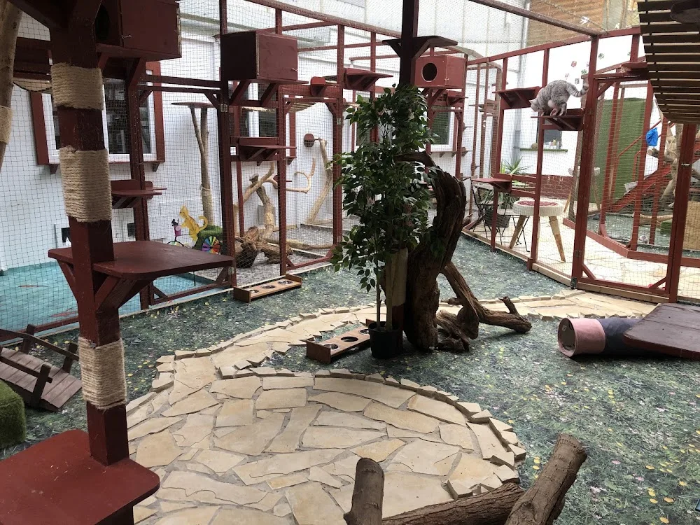 Katzenpension Tiergarten Leipzig - Bennewitz pet otel