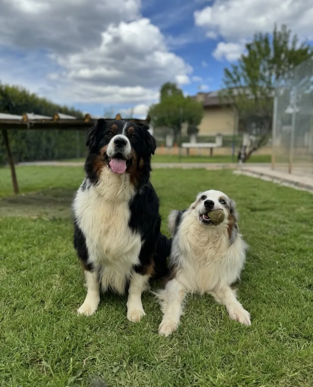 Dog Village - Bergamo pet otel