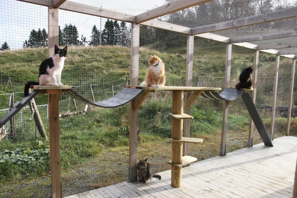 Eikås Kattepensjonat - Bergen pet otel