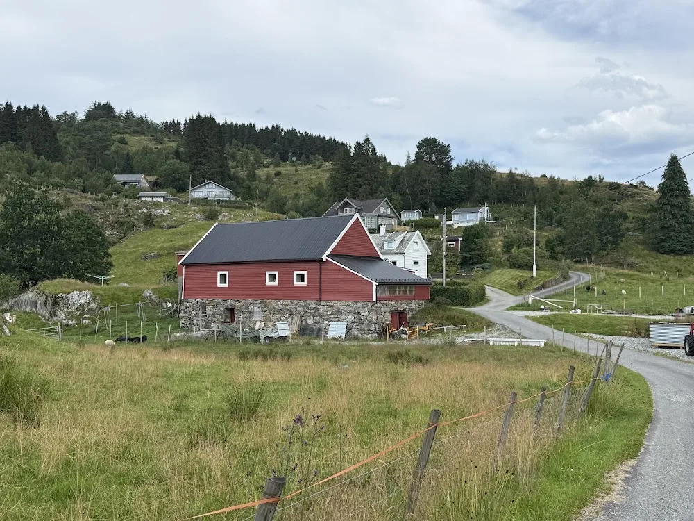 Haukås Kattehotell AS - Bergen pet otel görseli 3