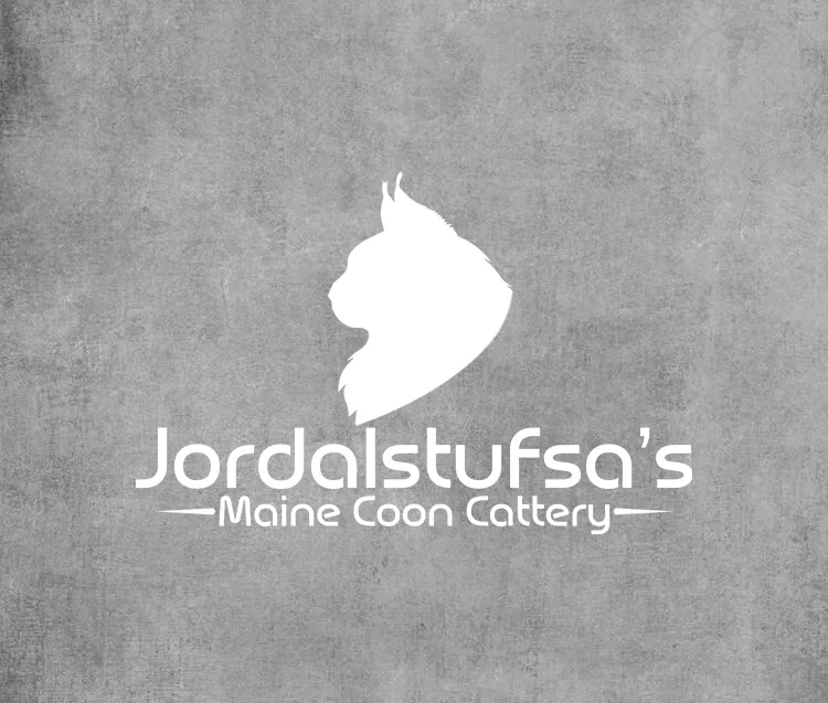 Jordalstufsa Maine Coon - Bergen pet otel