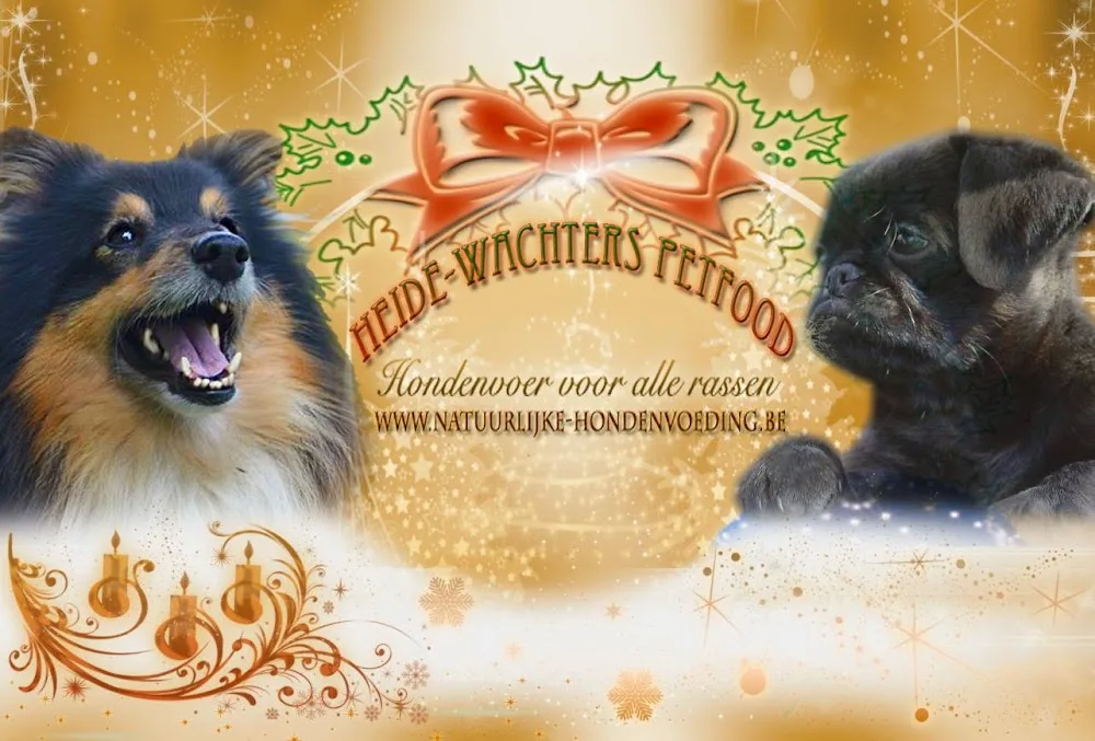 De Heide-Wachter kennels - Beringen pet otel görseli 3