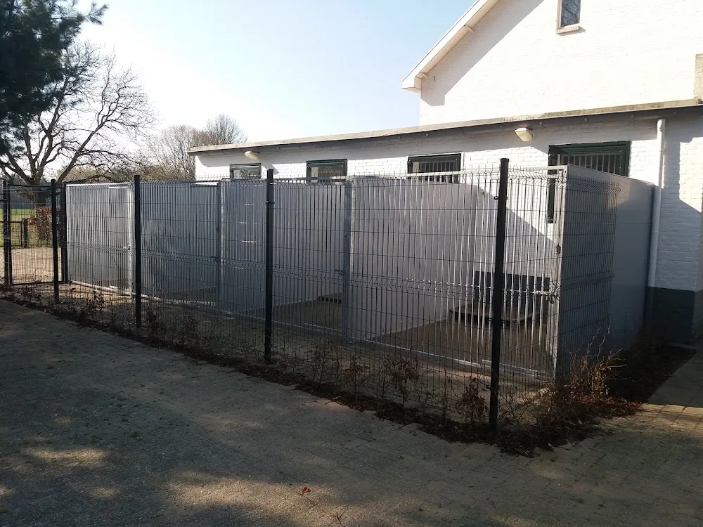Hondenhotel Brigadierdog - Beringen pet otel görseli 3