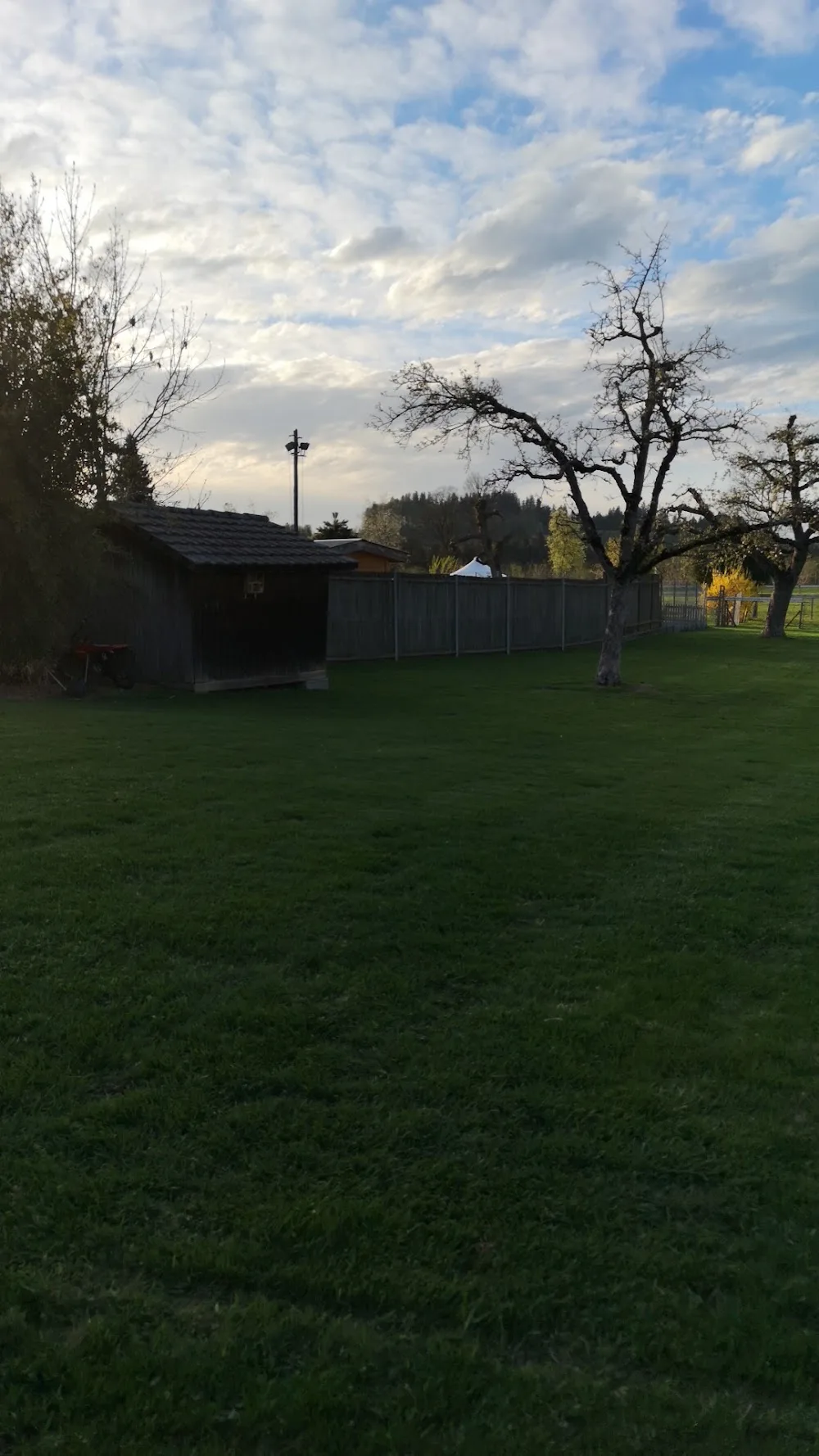Hundeferienpension & Ausbildung Schönentannen - Bern pet otel görseli 3