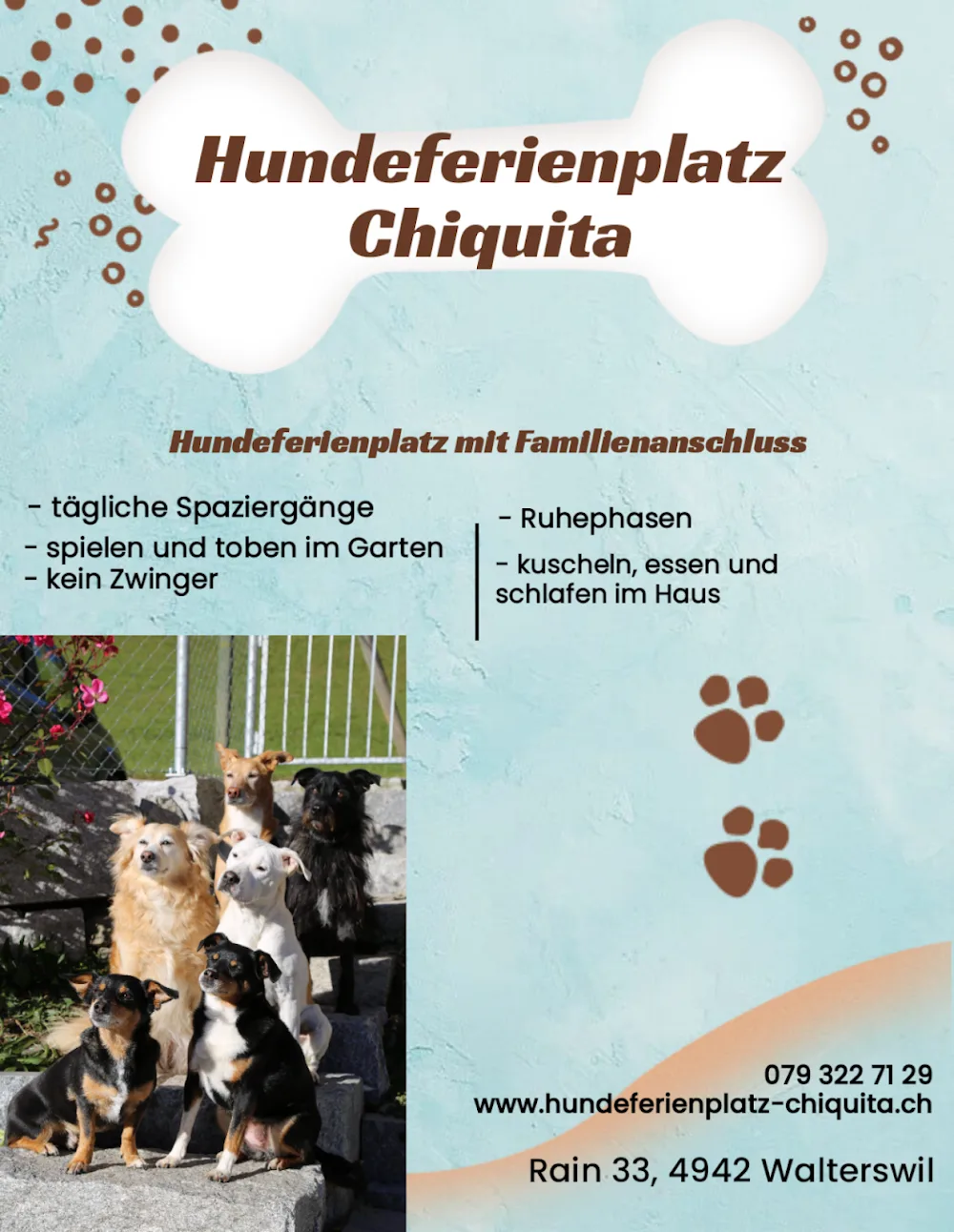 Hundeferienplatz Chiquita - Bern pet otel