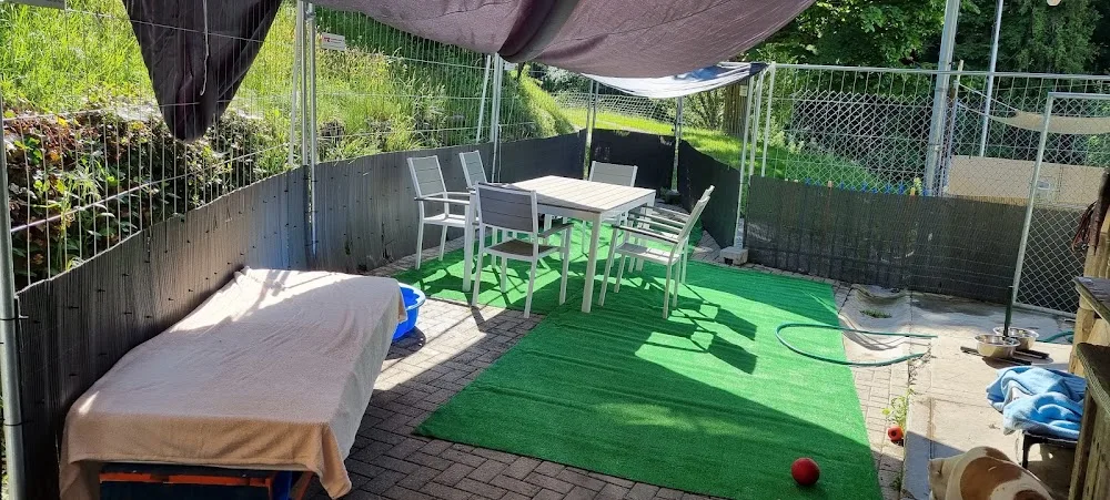 Hundeferienplatz Chiquita - Bern pet otel görseli 3