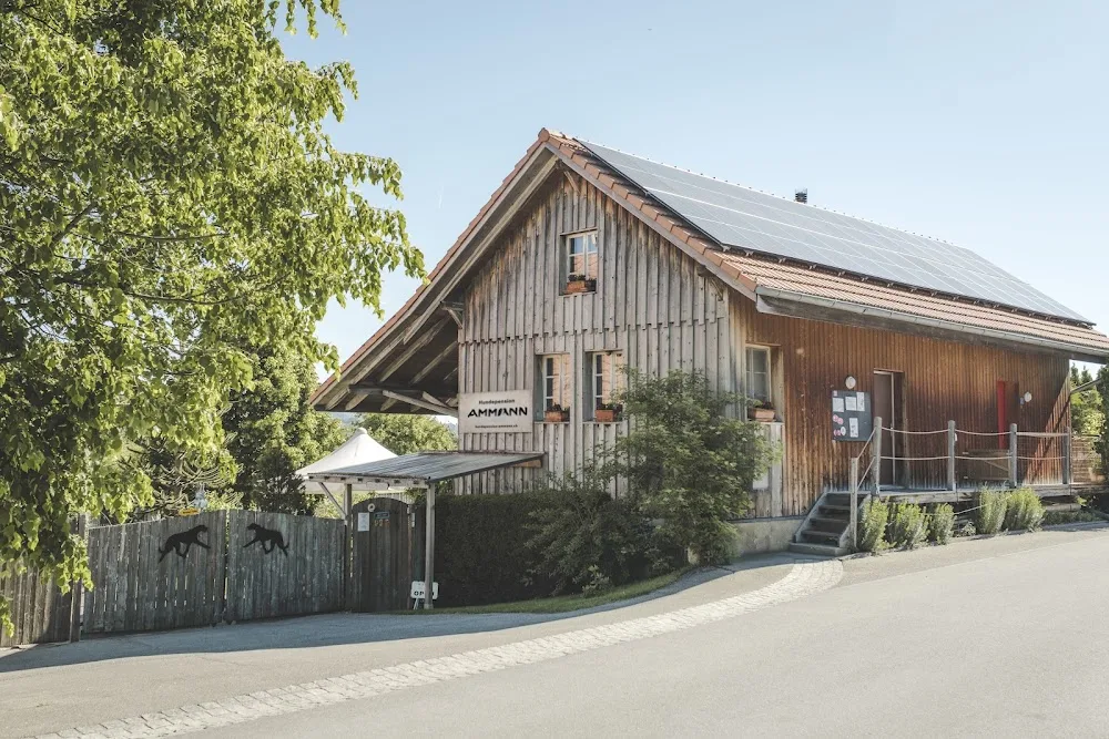 Hundepension Ammann - Bern pet otel