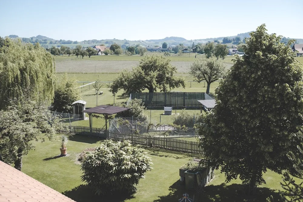 Hundepension Ammann - Bern pet otel görseli 3