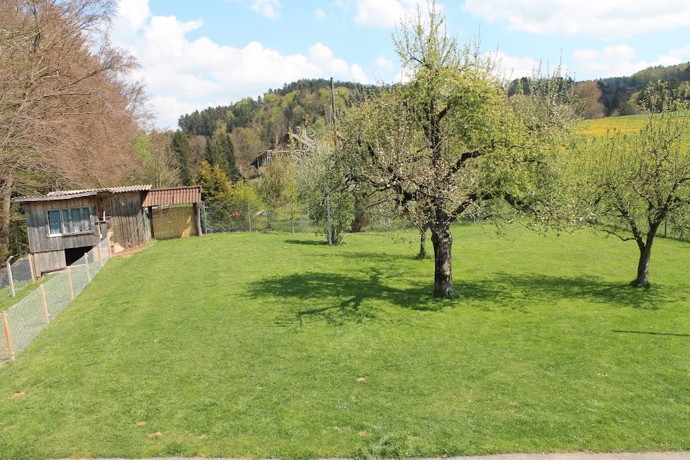 Hundepension Heidi Rolli - Bern pet otel