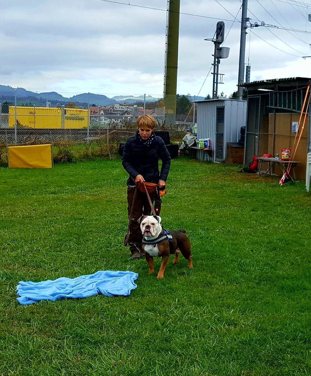 Hundepension Paws & Feet - Bern pet otel