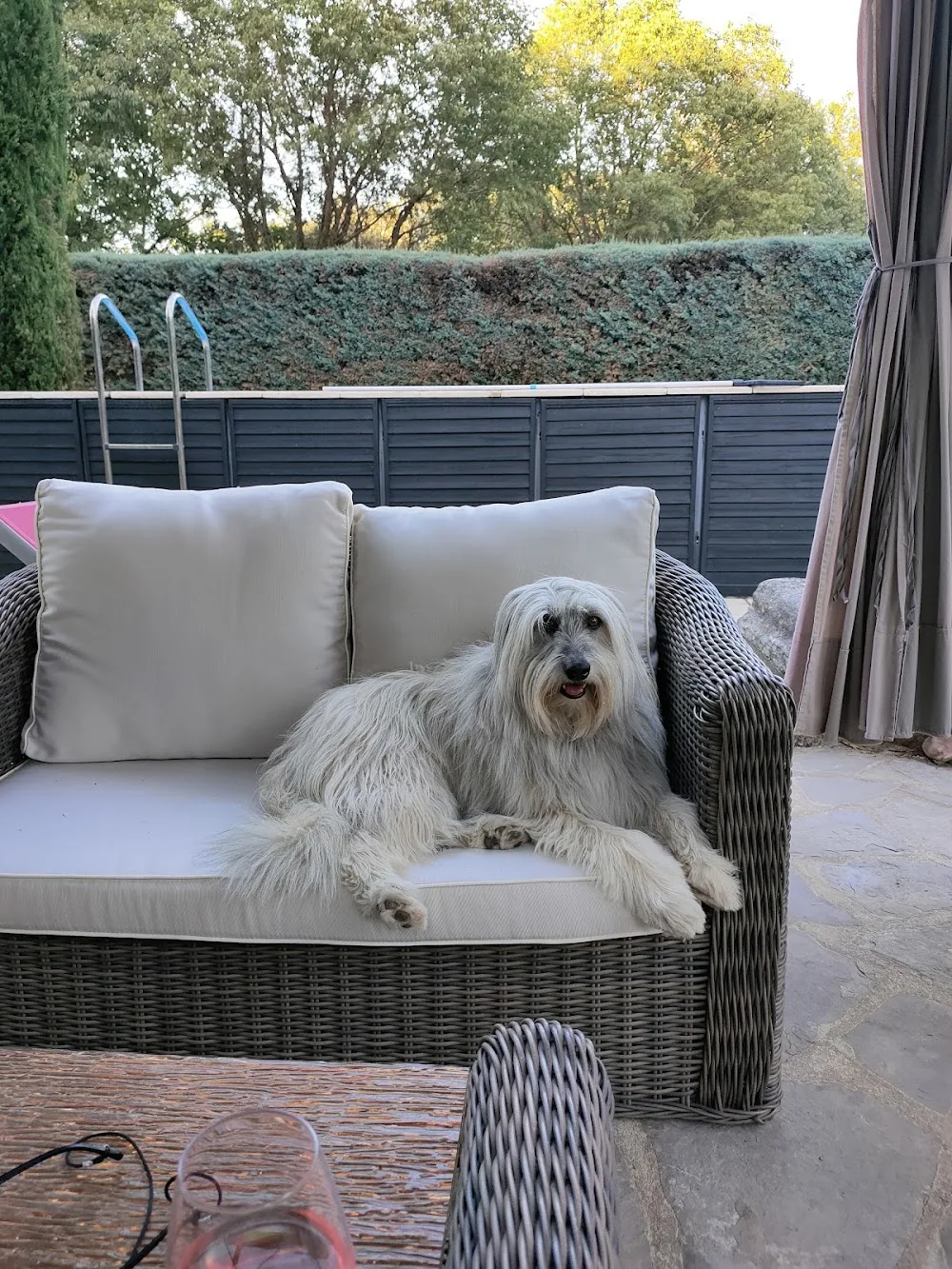 Hundepension Pfotentreff - Bern pet otel
