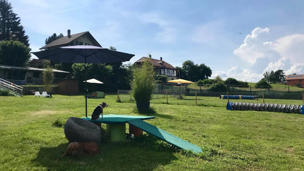 Pfotenhort Moossee - Bern pet otel