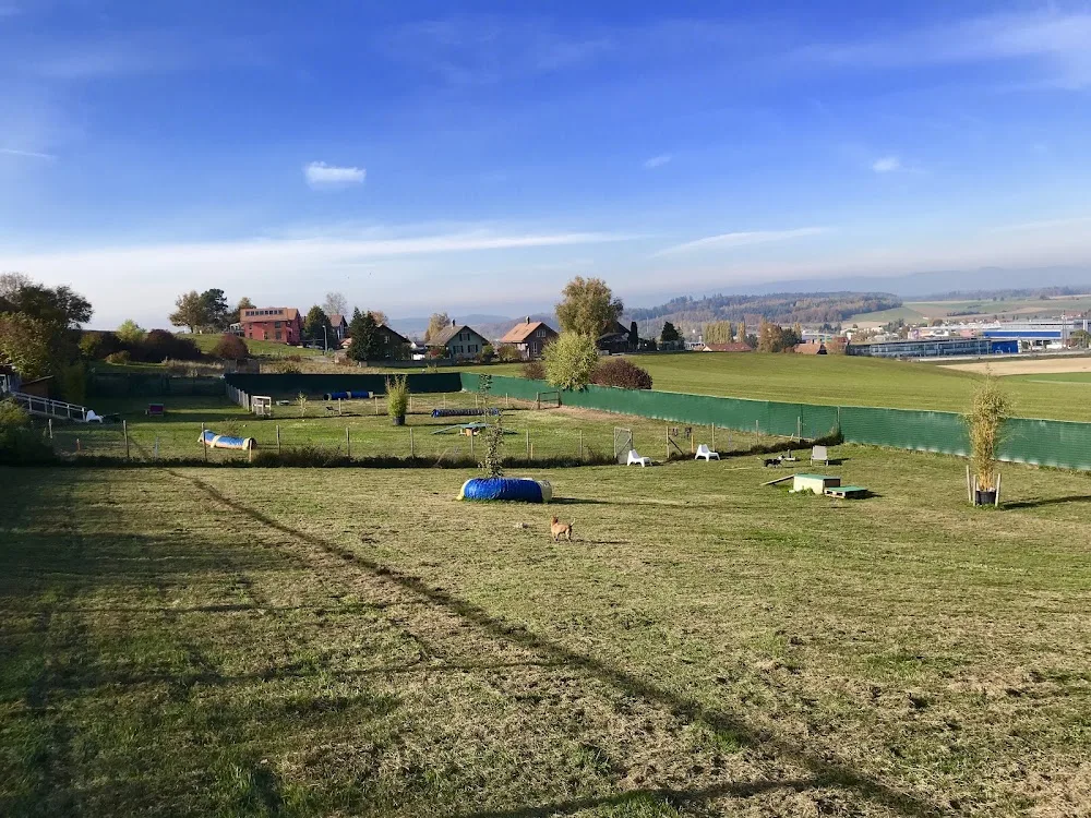Pfotenhort Moossee - Bern pet otel görseli 3