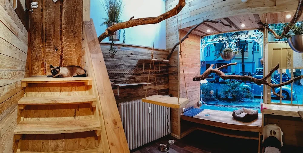 Berlin-Katzenpension - Berne pet otel