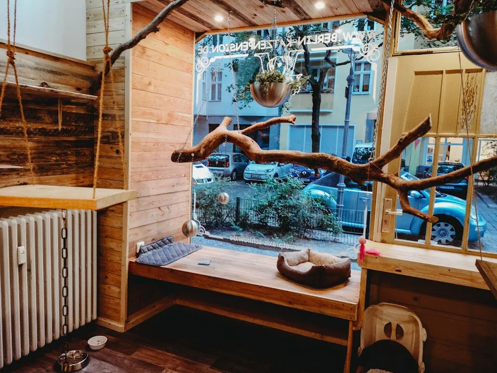 Berlin-Katzenpension - Berne pet otel görseli 7