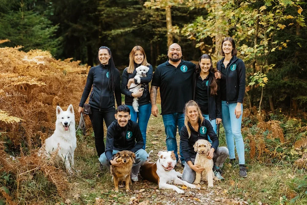 Dog Resort Bern | Hundebetreuung | Hundetagesstätte | Hundehort | Hundepension | Hundesitting | - Berne pet otel