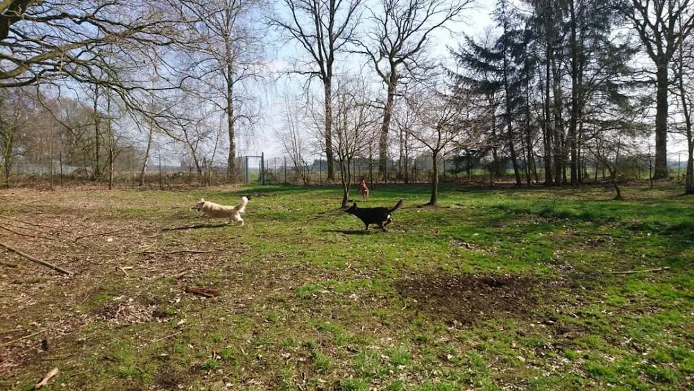 Hundeherberge Friesenhof - Matthias Germann - Berne pet otel