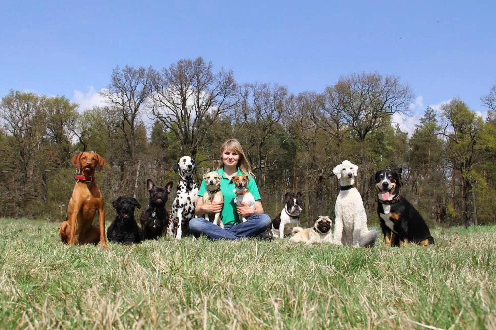 Hundepension an der Spree -Tierbetreuung Fürstenwalde - Berne pet otel